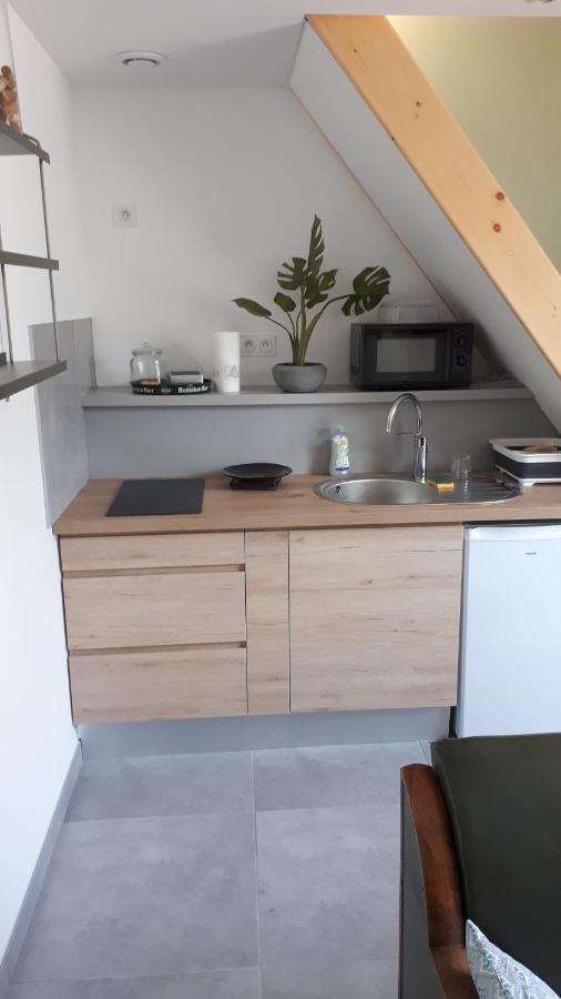 Le Chartreuse / Rent4Night Grenoble Apartment Exterior foto